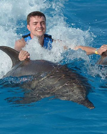 Delfines