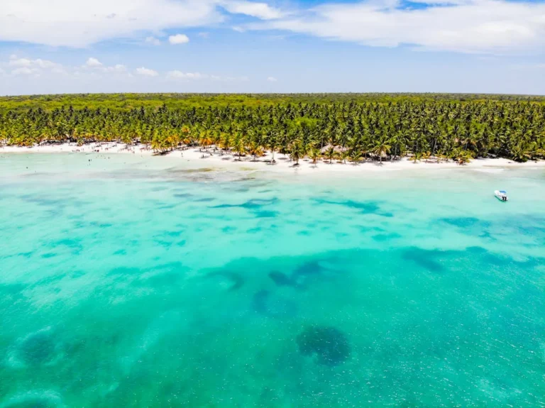 Descubre la joya del Caribe: Isla Saona – foto 3