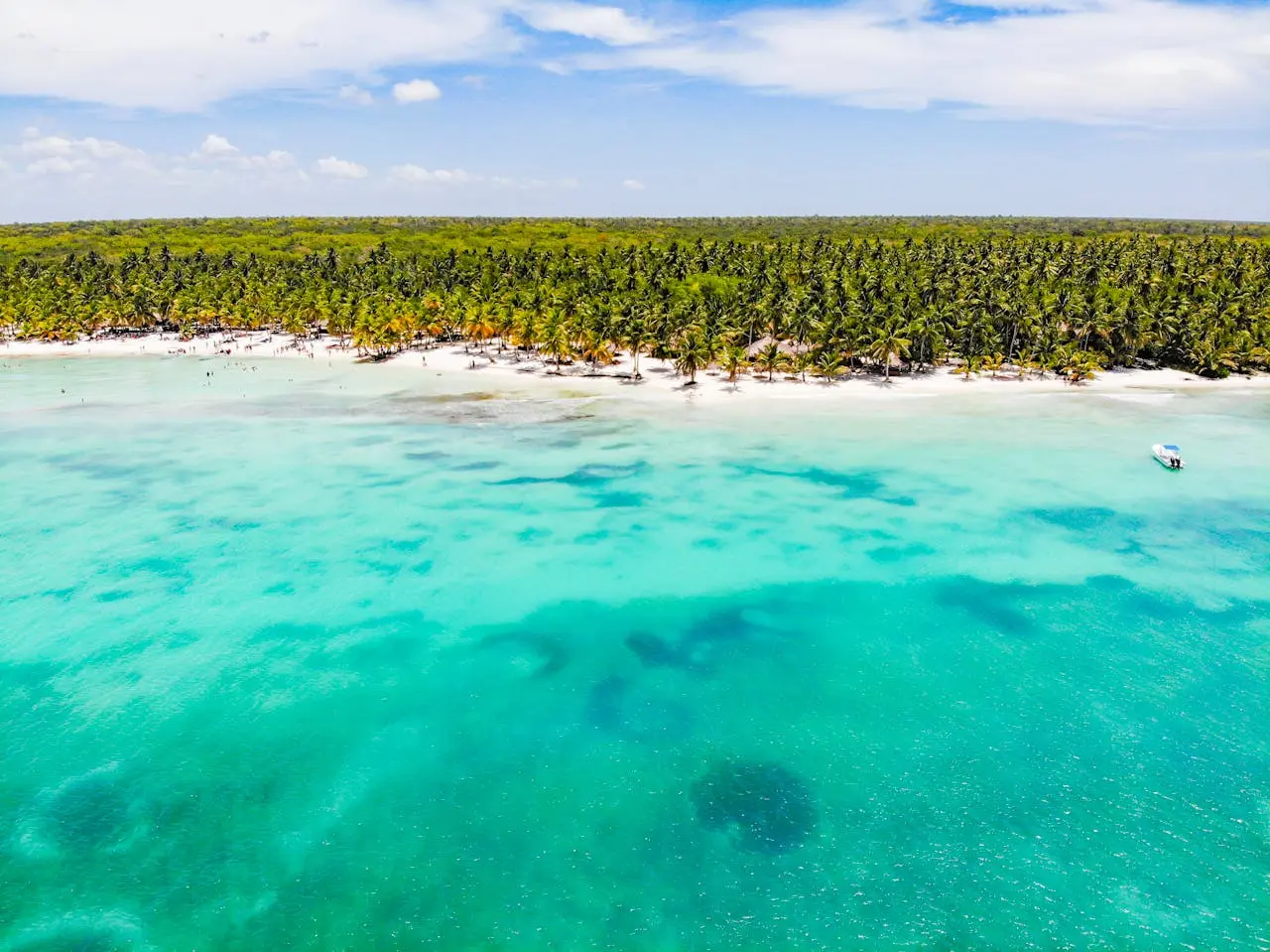 Descubre la joya del Caribe: Isla Saona – foto 3