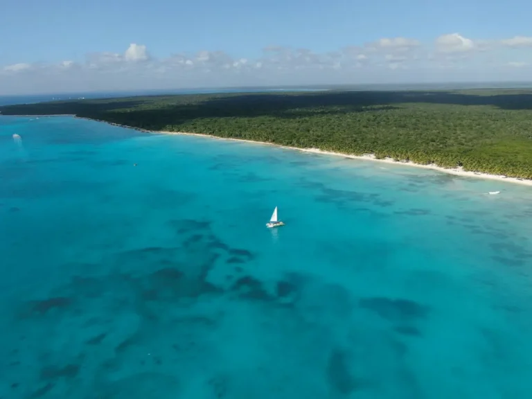 Descubre la joya del Caribe: Isla Saona