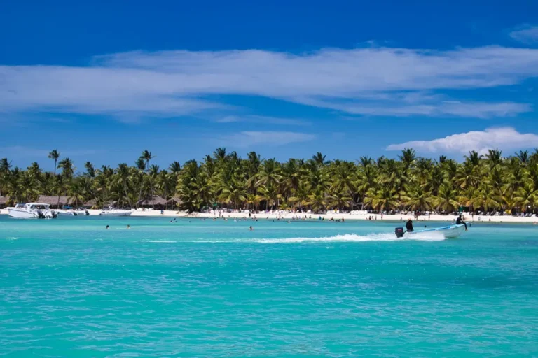 Descubre la joya del Caribe: Isla Saona – foto 4