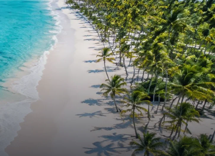 Playa de arena blanca con palmeras en Punta Cana