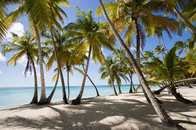 Palmeras frente al mar en Isla Saona