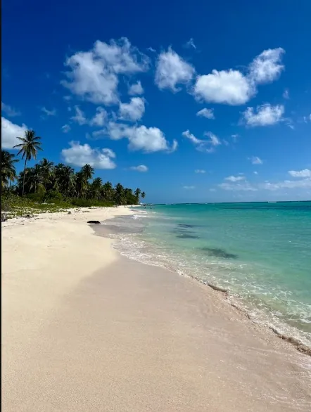 Orilla de arena blanca y mar turquesa en Isla Saona