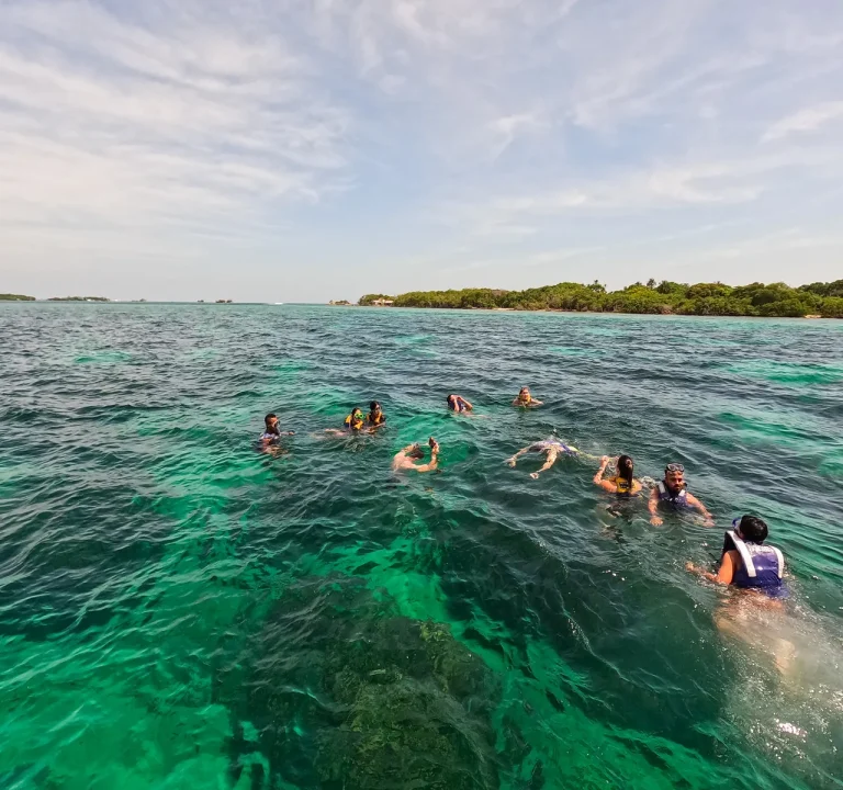 Snorkel en las aguas cristalinas de Islas del Rosario