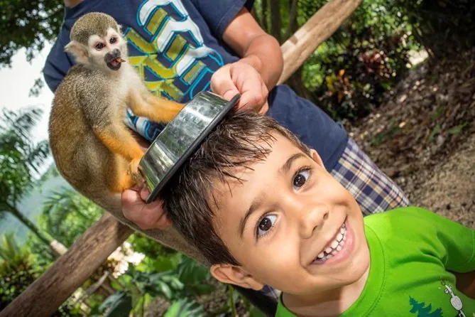 Niño con un mono en Monkeyland