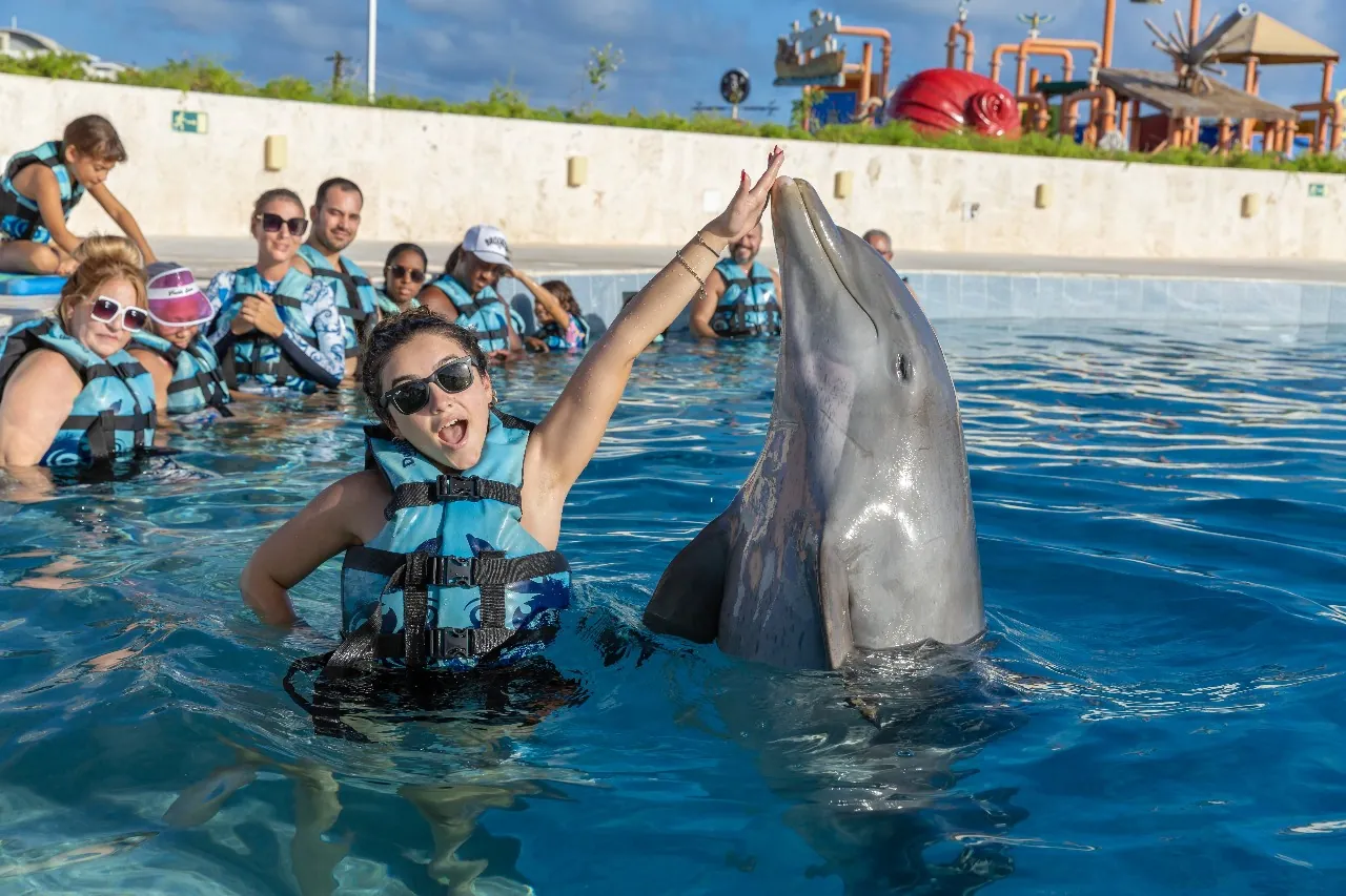 Beso de delfín en el programa de nado con delfines en Punta Cana