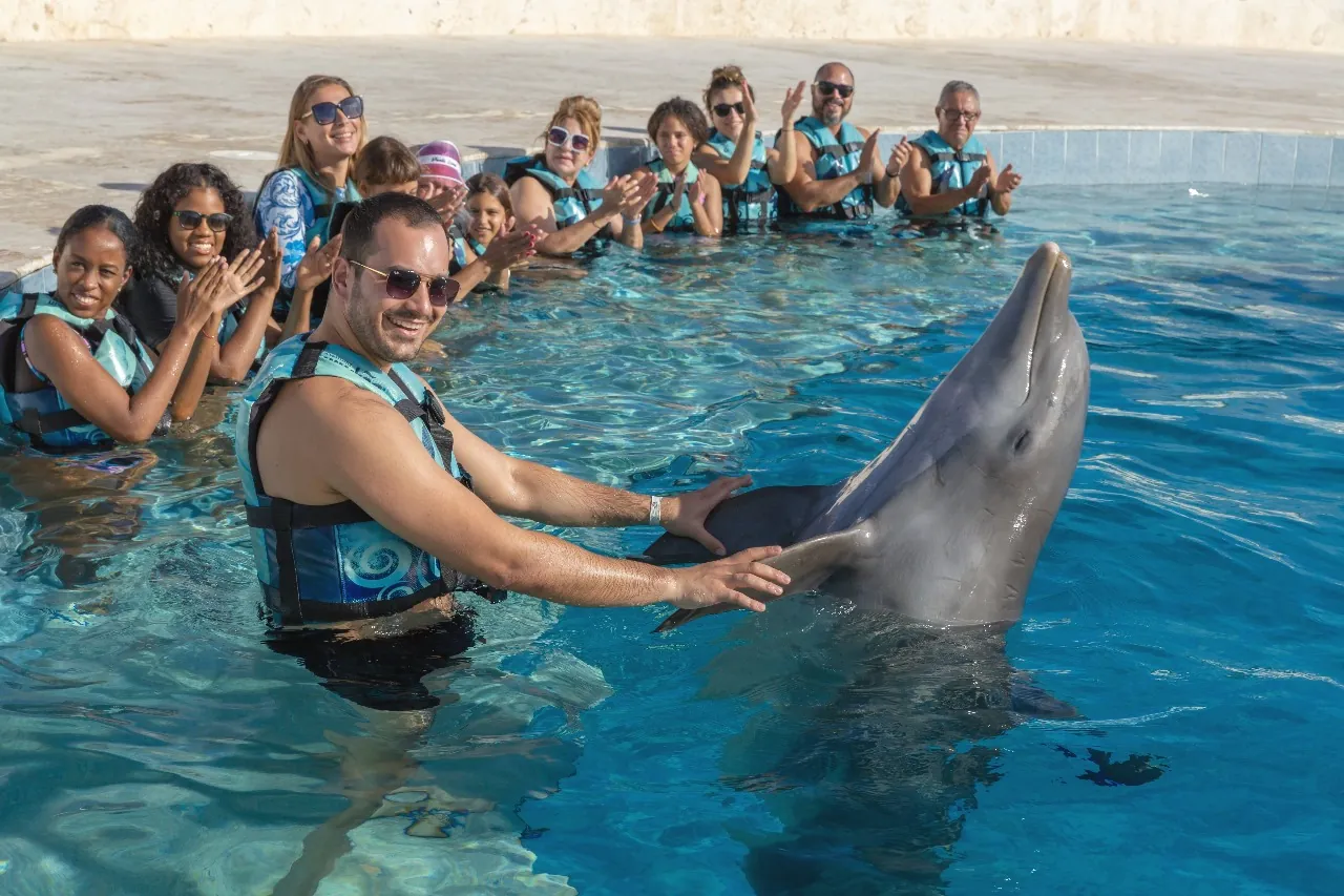 Grupo de visitantes con un delfín en Punta Cana